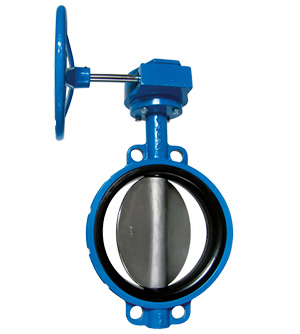 lined butterfly valve india